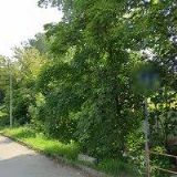 AMIREX MEDICAL s.r.o.