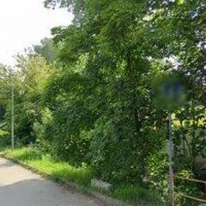 obrazek: avatar AMIREX MEDICAL s.r.o.