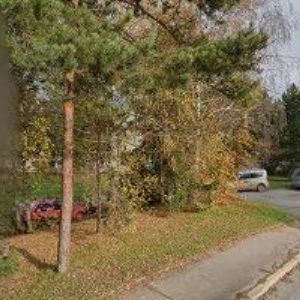 obrazek: avatar ELVOS s.r.o.