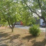 BUČEK JOSEF-ANTIQUE