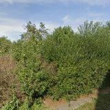 ŽÁDNÍK FRANTIŠEK