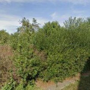 obrazek: avatar ŽÁDNÍK FRANTIŠEK