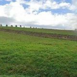 MOSS-BARTOŠ ZDENĚK Ing.