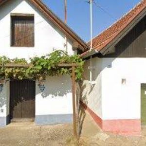 obrazek: avatar ŽELEX