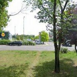 obrazek: avatar NETPROGRESS