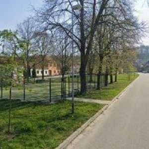 obrazek: avatar CODENET