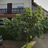 INTERIÉRY BUČEK, s.r.o.