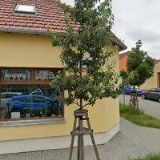 TOP CENTRUM ČERMÁK s.r.o.