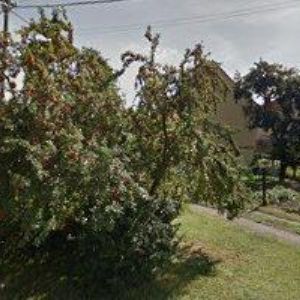 obrazek: avatar MELUZÍN OLDŘICH