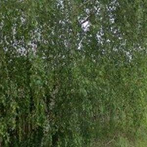 obrazek: avatar JAVAZD s.r.o.