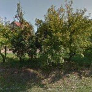 obrazek: avatar NADIR CZ spol. s.r.o.