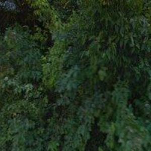 obrazek: avatar ŠTĚPÁNEK IVO