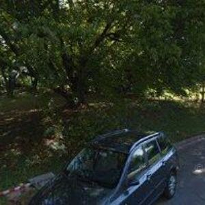 obrazek: avatar FRIČ VÁCLAV-PODLAHY