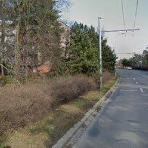 obrazek: avatar DLASKA