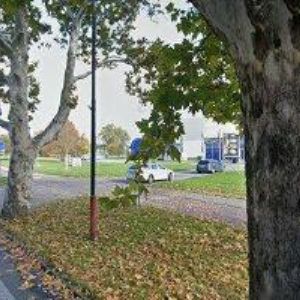 obrazek: avatar VARGOVÁ MAŇÁKOVÁ MARKÉTA