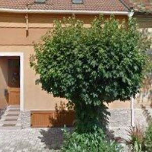 obrazek: avatar D-PROJEKT HODONÍN