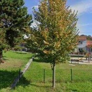 obrazek: avatar AM-STOLAŘSTVÍ