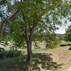 obrazek: avatar LANPROCOM