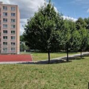 obrazek: avatar PEŠL BRONISLAV
