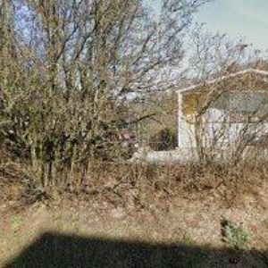 obrazek: avatar PELICO