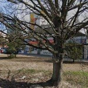 obrazek: avatar ELMONT GROUP, a.s.