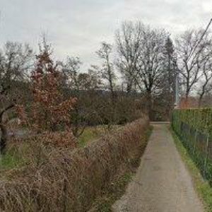 obrazek: avatar ADAMNA.NET