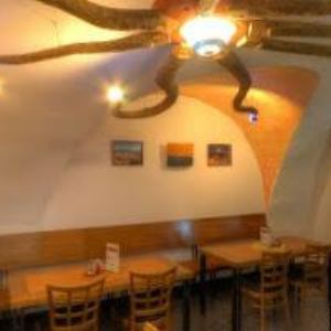 obrazek: avatar KOLÁČEK MICHAL