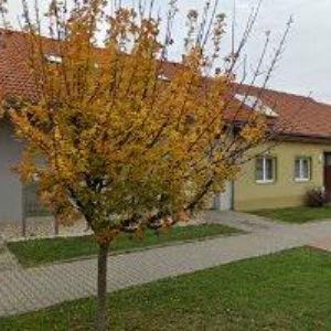 obrazek: avatar ALCAD, s.r.o.