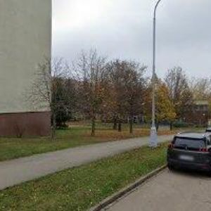 obrazek: avatar SKOUMAL TOMÁŠ