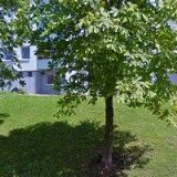 ZAVADIL ZDENĚK Ing.-OS3