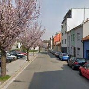 obrazek: avatar PELIKÁN LUDĚK