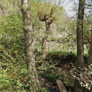 obrazek: avatar AP ARCH, s.r.o.