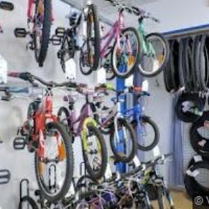 obrazek: avatar PALASPORT