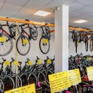 obrazek: avatar JÍZDNÍ KOLA FRIESE