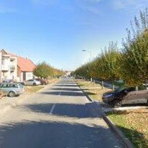 obrazek: avatar HOCHMAJER PETR