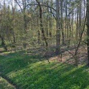 obrazek: avatar DRESSLER JIŘÍ