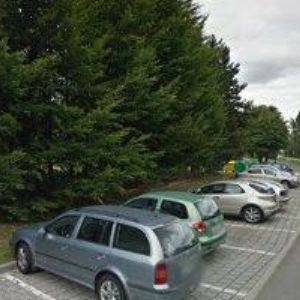 obrazek: avatar ZMORAY DUŠAN