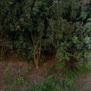 obrazek: avatar 4STAV.CZ