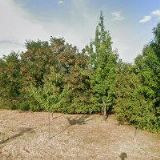 LEDEN JIŘÍ Ing.-JL WEBPROJEKT