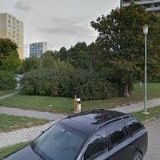 NEDOMA MAX VLADIMÍR