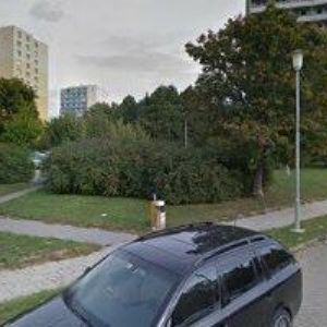 obrazek: avatar NEDOMA MAX VLADIMÍR