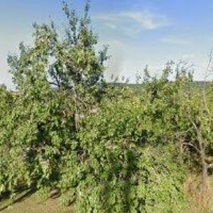 obrazek: avatar DOSOUDIL JIŘÍ