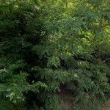 PŮJČOVNA LODÍ DYJE