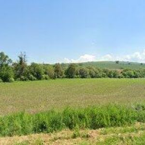 obrazek: avatar ZEMÁNEK MILAN