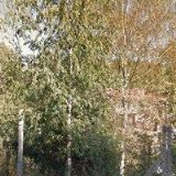 STOLAŘSTVÍ ROZSÝVAL