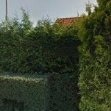 PETŘÍK PAVEL-UMĚLECKÉ PÍSKOVÁNÍ