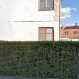 KLEINWÄCHTEROVÁ MARKÉTA