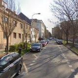 RIZIKOVÉ KÁCENÍ STROMŮ-BOBR HLODAVEC