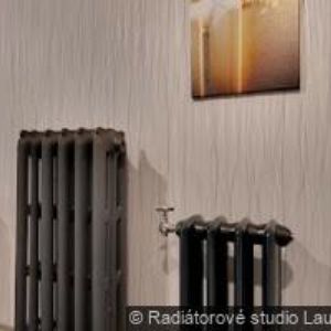 obrazek: avatar PSOTA TOMÁŠ