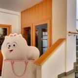 AGENTURA D-PRODUCTION  s.r.o